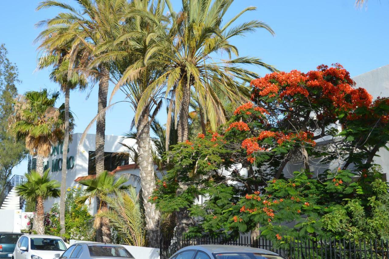 Apartamento Ocean Loft Maspalomas  Exterior foto